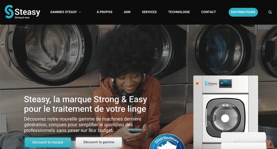 Steasy B2B website — web design and digital marketing project
