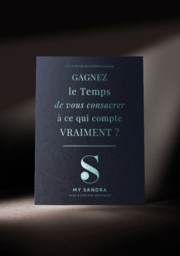 frametonic agence marketing tpe creation logo logotype branding signature identite visuelle charte graphique blue1310 agence de communication branding graphiste annecy paris 2 2