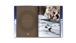 frametonic agence marketing digital tpe et pme sites internet pour tourisme paris annecy 2 7