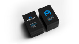frametonic branding logo charte graphique agence com modulable4 2 2