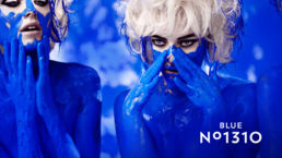 pourquoi blue n 1310 pour notre agence de creation 3