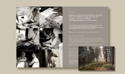 frametonic agence marketing digital paris cabinet architectes archidomo 2 7