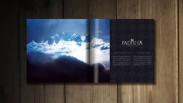 frametonic agence marketing digital tpe et pme sites internet pour hotels paris annecy 2 3