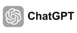 Chat GPT for startups TPE