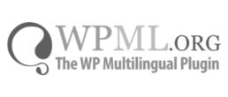 traduction WPML pour wordpress - agence digitale paris